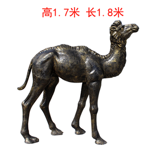 骆驼